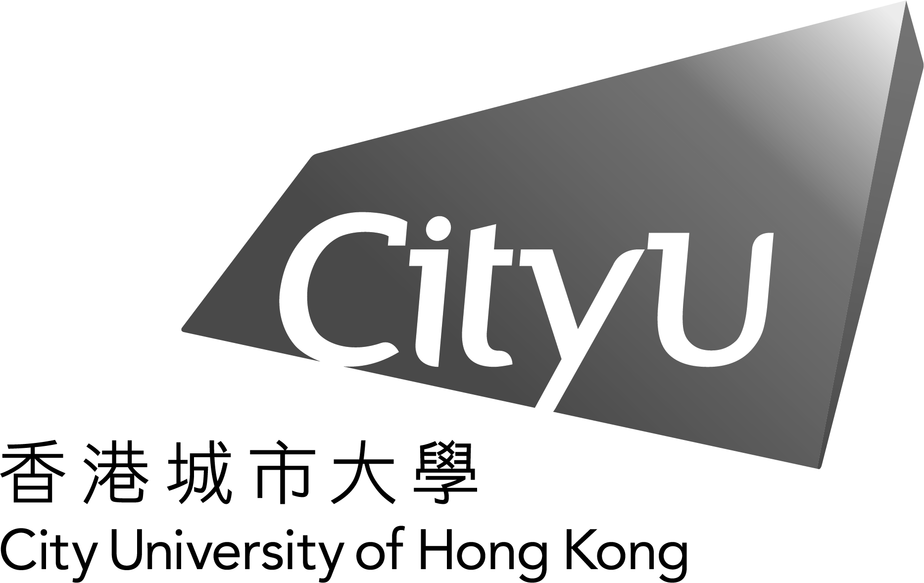 footer_icon_CityU